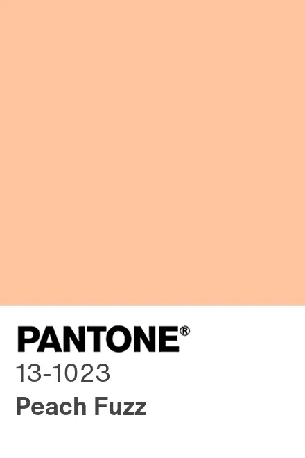 Color of the Year 2004: PANTONE Peach Fuzz. VENDE TU ALMA AL DIOS MELOCOTÓN!!